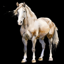 Load image into Gallery viewer, "Stallion’s Grace" - watercolour and line drawing