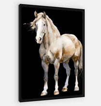 Load image into Gallery viewer, "Stallion’s Grace" - watercolour and line drawing