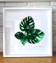 Load image into Gallery viewer, Monstera leaves - composition of three / four