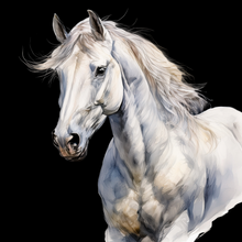 Load image into Gallery viewer, &quot;Midnight Mare&quot; - watercolour and line drawing
