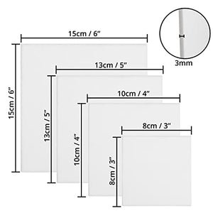 Blank Canvas (28 Pack) - 4 Assorted Sizes - art materials