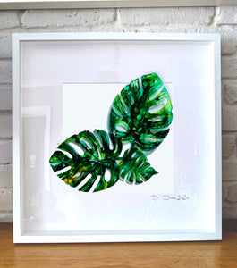 Monstera leaves - composition of three / four