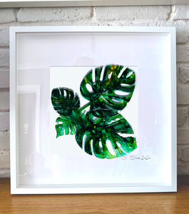 Monstera leaves - composition of three / four