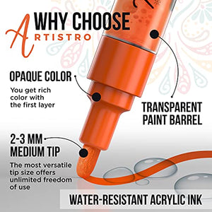 60 Artistro Markers for Art | 30 Acrylic Extra Fine Tip Paint Pens + 30 Acrylic Medium Tip Paint Pens for Rock, Wood, Glass, Ceramic, Metal Painting