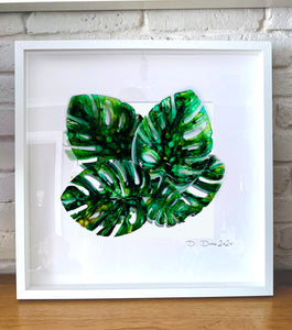 Monstera leaves - composition of three / four