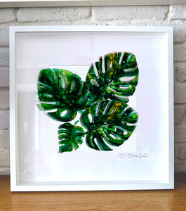 Monstera leaves - composition of three / four