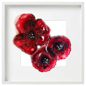 Poppy flowers - composition of three