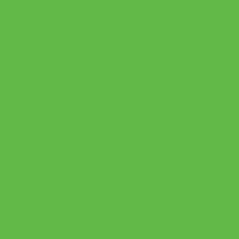 Load image into Gallery viewer, Fingal United - green canvas tile
