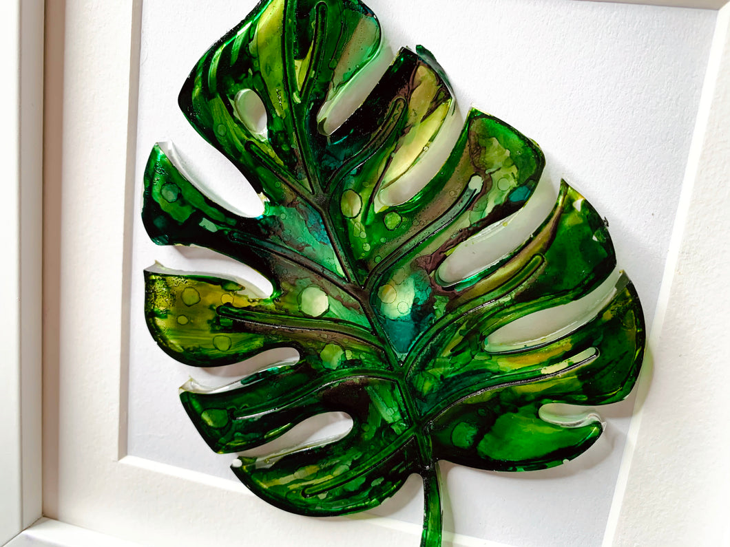 Monstera leaf - single leaf