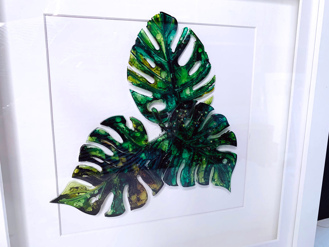 Monstera leaves - composition of three