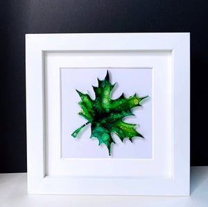 Maple tree leaf