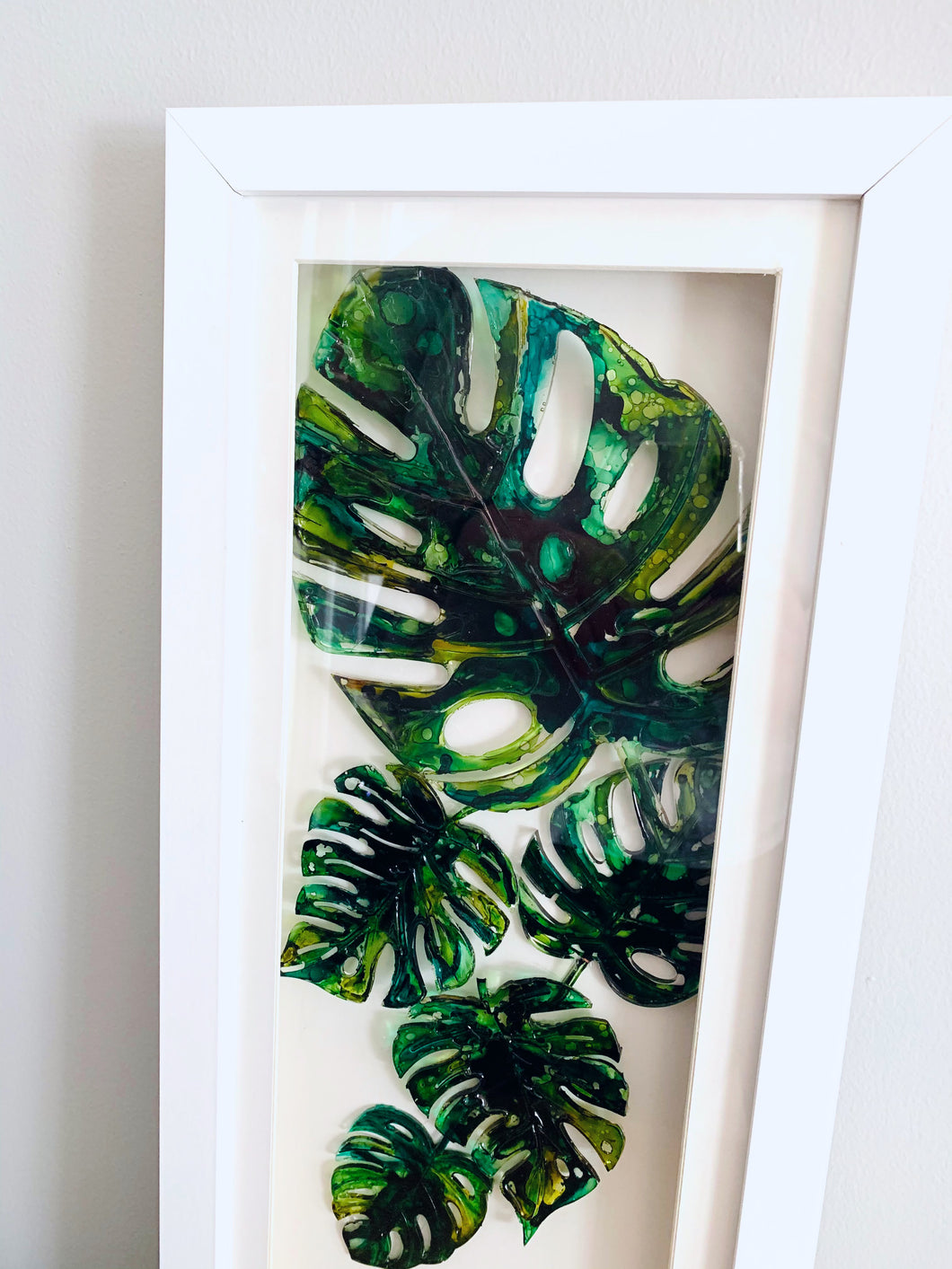 Monstera leaves - composition of four and five