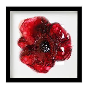 Poppy flower