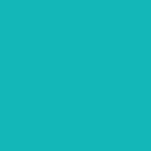 Load image into Gallery viewer, Fingal United - turquoise canvas tile
