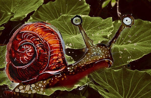 A hesitant snail - Print of original Alcohol Ink Painting