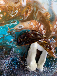 Wild mushroom - Wonderful piece of art