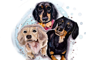 Crusoe, Daphne and Oakley